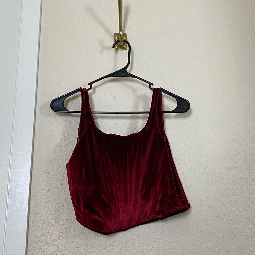 Velvet zipper corset crop top. Never worn